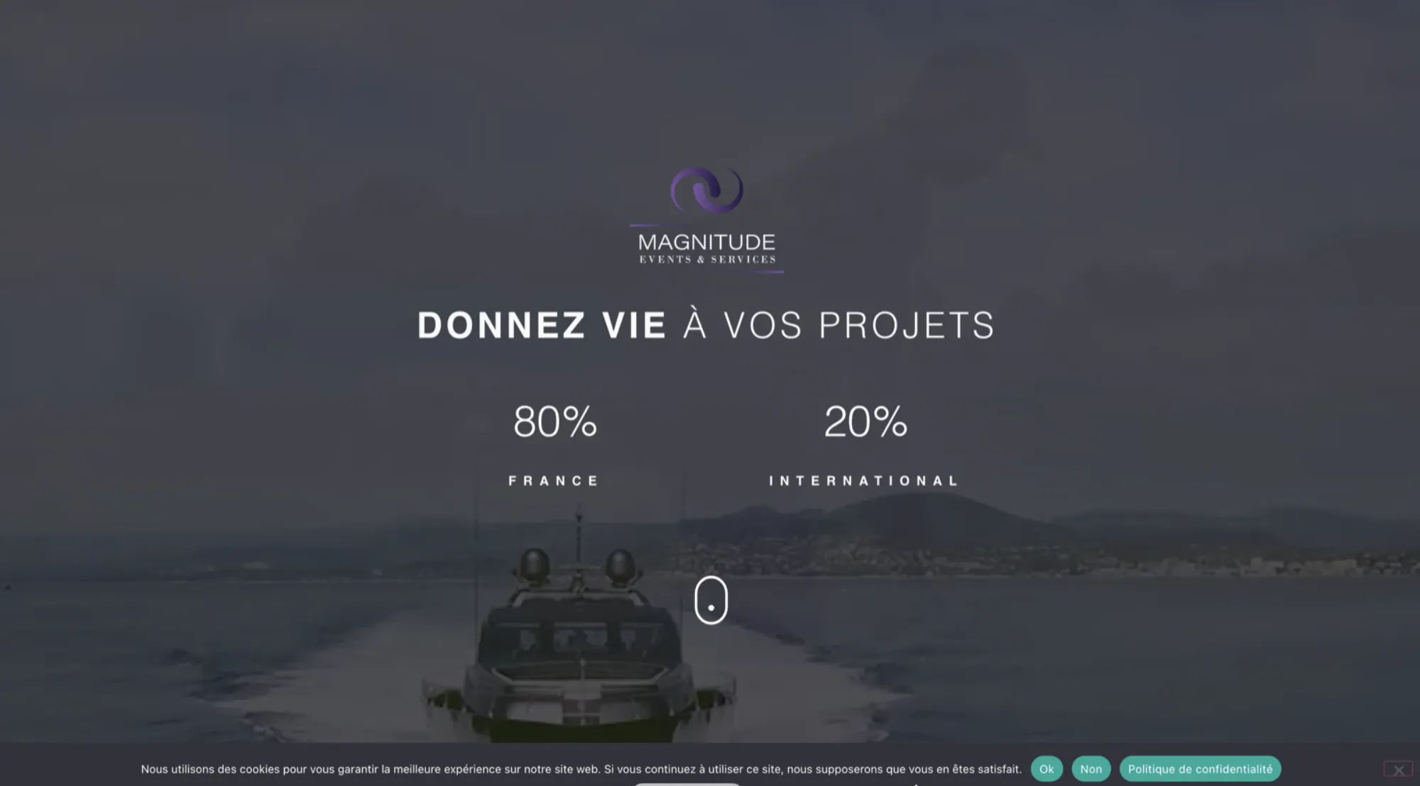 Capture d’écran du site de l’agence Magnitude, vue 1